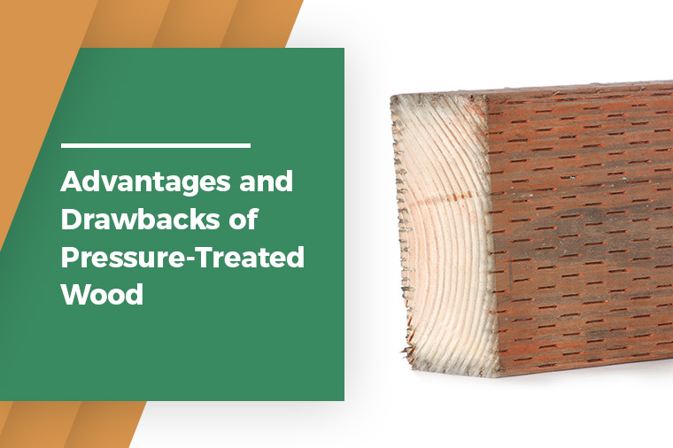 Advantages and Drawbacks of Pressure-Treated Wood