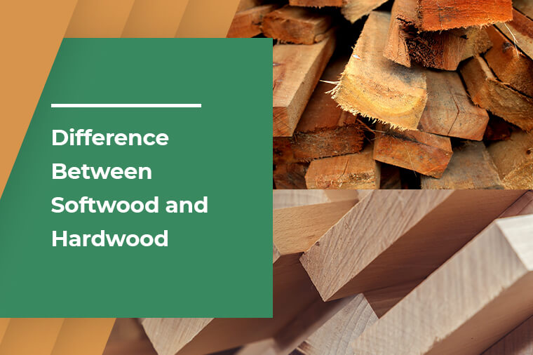 Difference Between Softwood and Hardwood