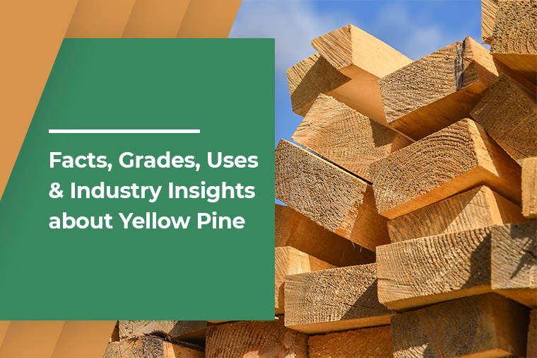 Facts, grades, uses & industry insights about yellow pine
