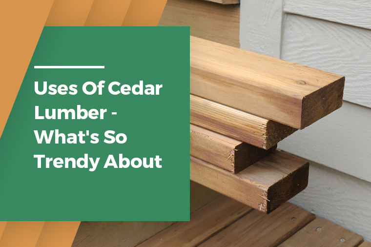 Uses of Cedar Lumber- What’s So Trendy About