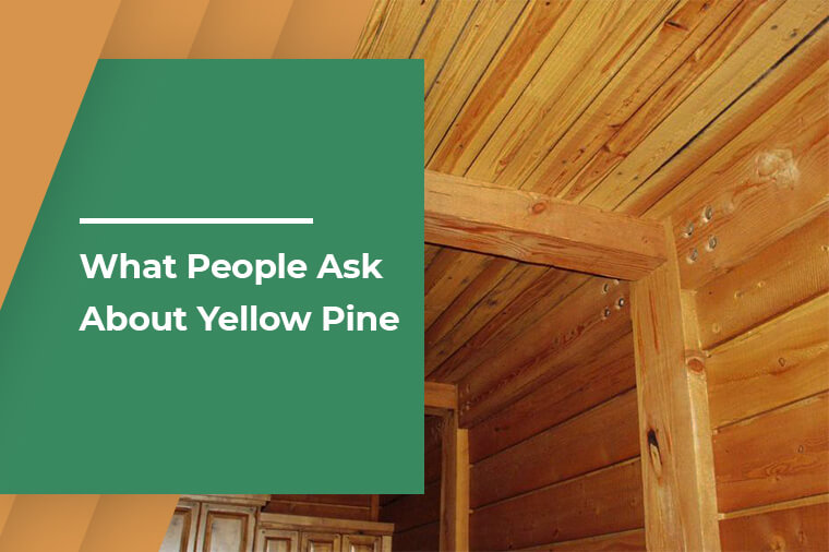 What People Ask About Yellow Pine