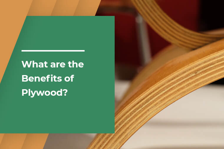What are the Benefits of Plywood?