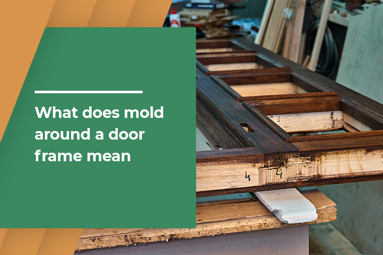 What does mold around a door frame mean?