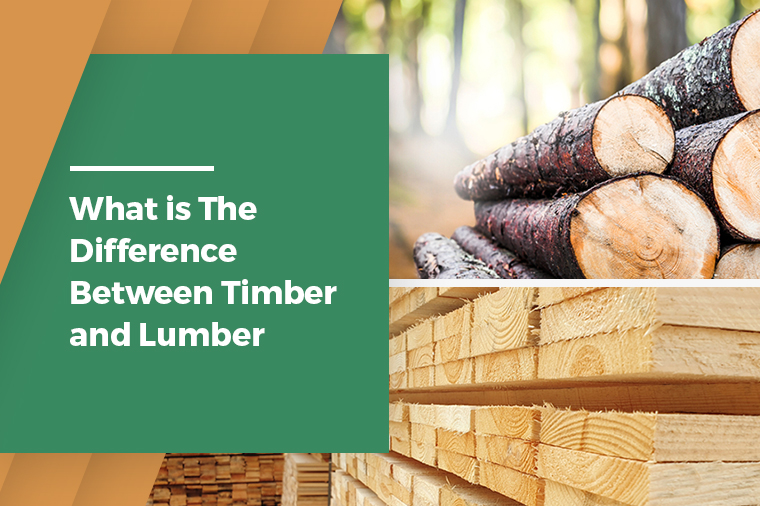 What Is The Difference Between Timber and Lumber