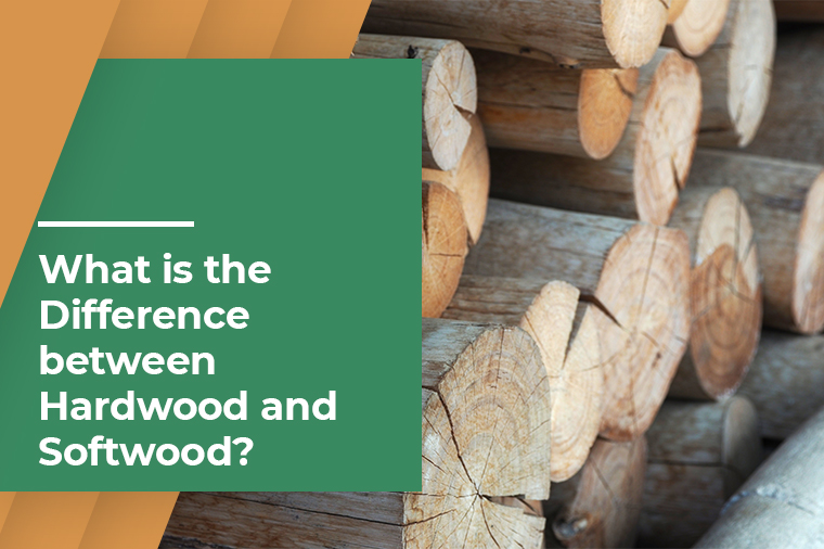 What is the Difference between Hardwood and Softwood? 